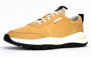 Timberland Boroughs Oxford Beige Herren Trainer