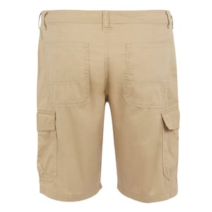 Regatta - "Ruwan" Freizeitshorts für Herren (Hafer)