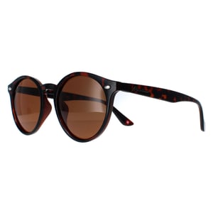 Montana Rund Unisex Schildkröte Braun Polarisiert MP20B