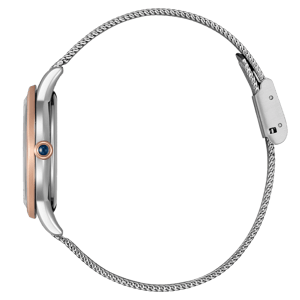 Citizen L Serie Damenuhr Silber EM1156-80X