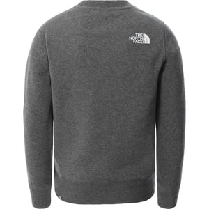 The North Face Jugend Box Crew Sweatshirt in grau