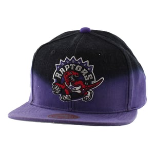 Mitchell & Ness Toronto Raptors Mens Cap