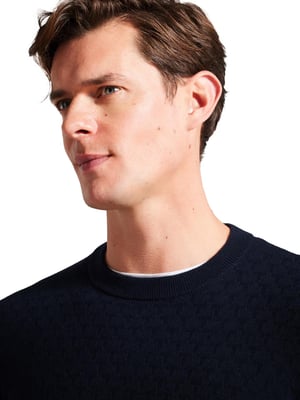 Ted Baker | Herren Strickpullover mit Rundhalsausschnitt - Loung