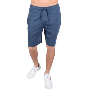 The North Face Shorts Graphic Herren Blau