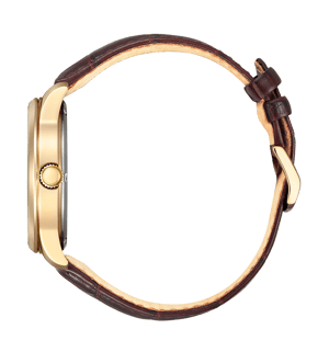 Citizen Braun Herren Armbanduhr BM8553-16AE