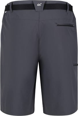 Regatta - "Xert III" Shorts für Herren (Grau)