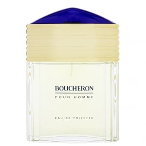 Boucheron Pour Homme Edt Spray 100 ml