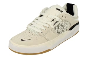 Nike Sb Ishod Männer Weiß Turnschuhe