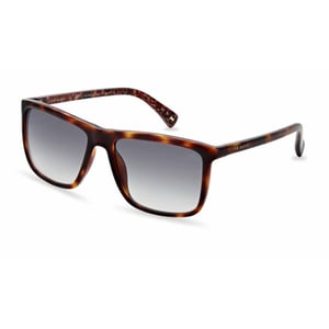 Ted Baker Sonnenbrille TB1663 Havna 122 Havanna Grau Gradient