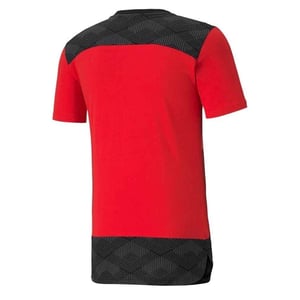 Puma 20/21 A. C. Mailand 1899 Herren Red T-Shirt