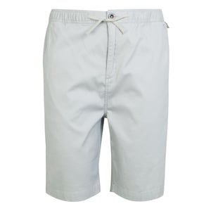 Regatta - "Aldan" Shorts für Herren (Silbergrau)