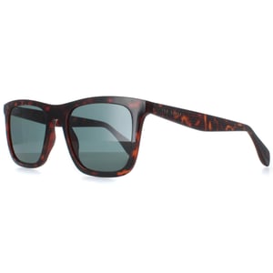 Ted Baker TB1680 Filipe 110 milchig dunkelbraun blau Sonnenbrille