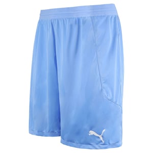 Puma Drycell Teamfinal 21 Stretch Taille Herren Hellblau Shorts 704257 18