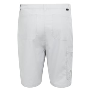 Regatta - "Dalry" Shorts für Herren (Silbergrau)