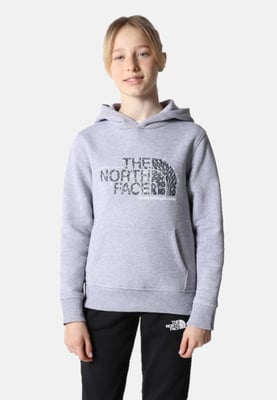 The North Face Kinder Drew Peak Overhead Hoodie in grau
