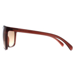 Calvin Klein Cat Eye Damen Milchig Braun Braun Farbverlauf CK19565S