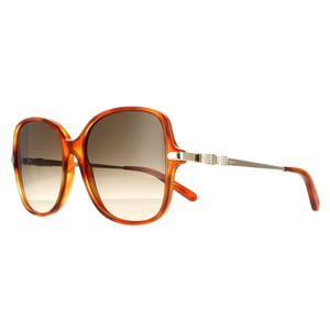 Salvatore Ferragamo Square Damen Schildkröte Grau Gradient SF990SR