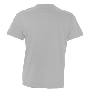 SOLS Herren Victory V-Ausschnitt T-Shirt mit kurzen Ärmeln (grau meliert)