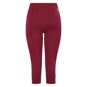 Dare 2B - "In The Zone II" 3/4 Leggings für Damen (Feige)