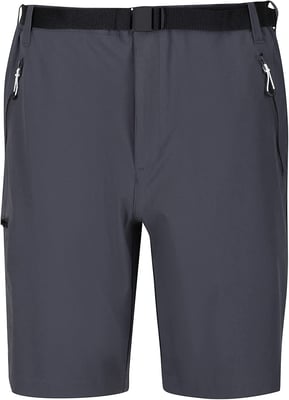 Regatta - "Xert III" Shorts für Herren (Grau)