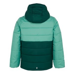 Regatta - "Lofthouse VIII" Isolier-Jacke für Kinder (Grün/Regenwald)