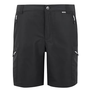 Regatta - "Leesville III" Shorts für Herren (Asche)