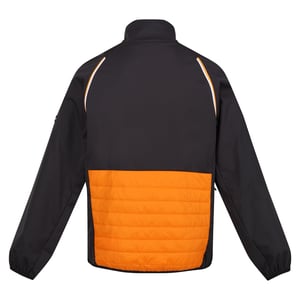 Regatta - "Steren Hybrid" Softshelljacke für Herren (Orangen Pfeffer/Asche)