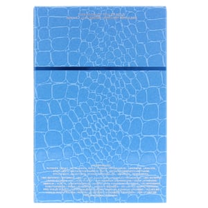 Versace Man Eau Fraiche Eau de Toilette 100ml Spray für Ihn