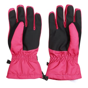 Dare 2B Damen Ski-Handschuhe Acute (Beeren Pink)