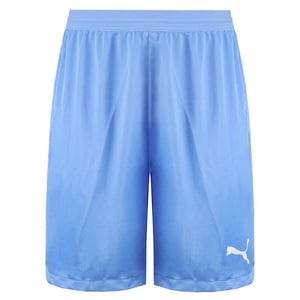Puma Drycell Teamfinal 21 Stretch Taille Herren Hellblau Shorts 704257 18