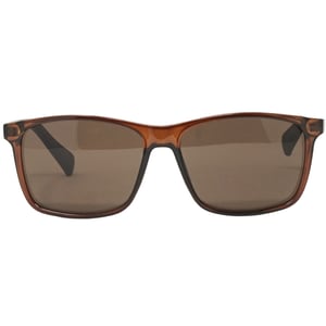 Calvin Klein CK19568S 210 Brown Sunglasses