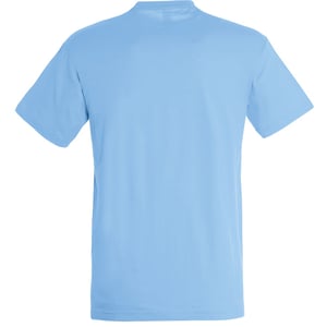 SOLS Herren Regent T-Shirt mit kurzen Ärmeln (Himmelblau)