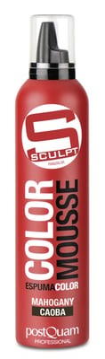FARB-SCHAUMFESTIGER MAHAGONI 300 ML.