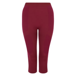 Dare 2B - "In The Zone II" 3/4 Leggings für Damen (Feige)