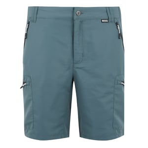 Regatta - "Leesville III" Shorts für Herren (Sturmwetter)