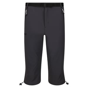 Regatta - "Xert Stretch III" Capri Shorts für Herren - Aktiv (Mittelgrau)