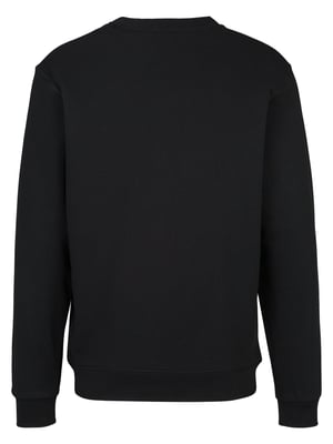 Replay Sweatshirt French Terry Baumwolle-Polyester