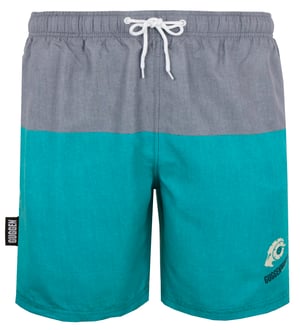 Herren Badehose mit Muster Streifen Grün