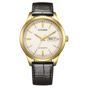 Citizen Schwarz Herren Armbanduhr NY4059-09AC