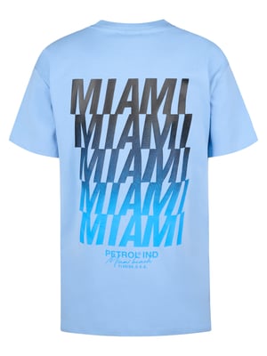 Petrol Industries - T-Shirt mit Rückenaufdruck Flamingoline  Jungen -  Blau