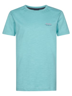 Petrol Industries - T-Shirt mit Rückenaufdruck Tealshore  Jungen -  Grün