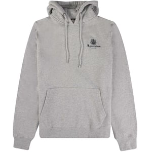 Aquascutum Active - Grauer Kapuzenpullover mit kleinem Logo