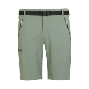 Regatta - "Xert III" Shorts für Herren (Agaven-Grün)