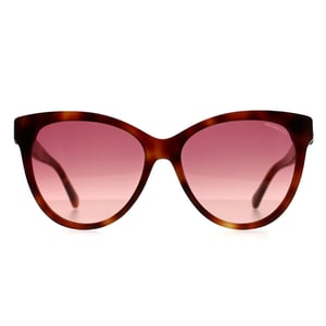 Moncler ML0283 52T havanna bordeaux Farbverlauf Sonnenbrille