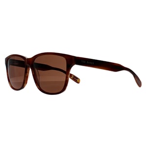 Ted Baker TB8232 151 braun Horn braun Sonnenbrille