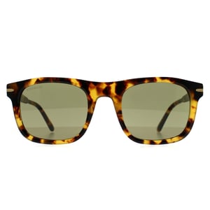 Serengeti Charlton SS576006 glÃ¤nzende klassische havanna Mineral polarisierte 555nm photochrome Sonnenbrille
