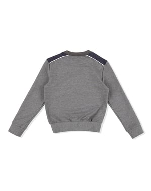 Sweatshirt Lion