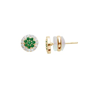US Polo Assn Jewellery Celine Gelbgold-Ohrringe