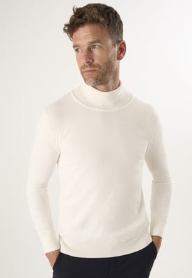 Pullover Rollkragenpullover