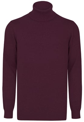 Pullover Rollkragenpullover